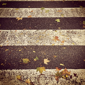 automne, hiver, mélancolie, sec, jaune, rue