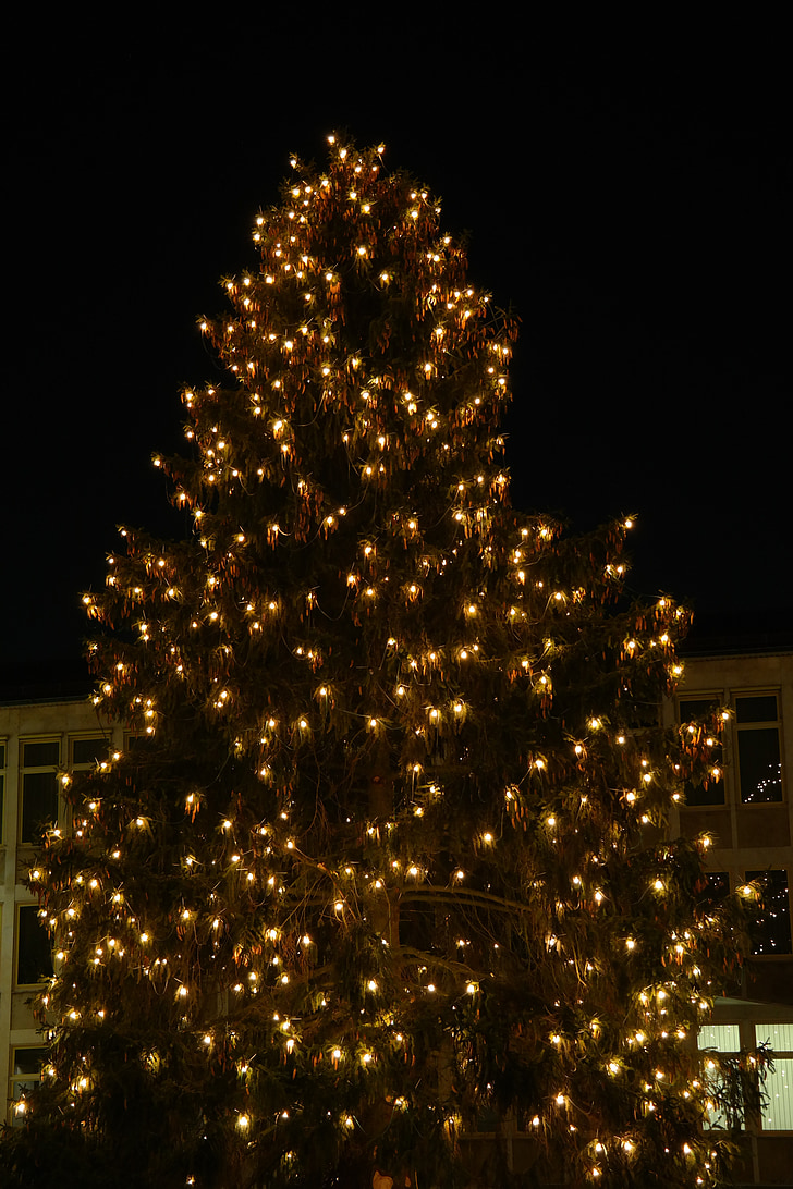 クリスマス, lichterkette, ツリー, 照明, ニューアルム, 市庁舎広場, ダウンタウン