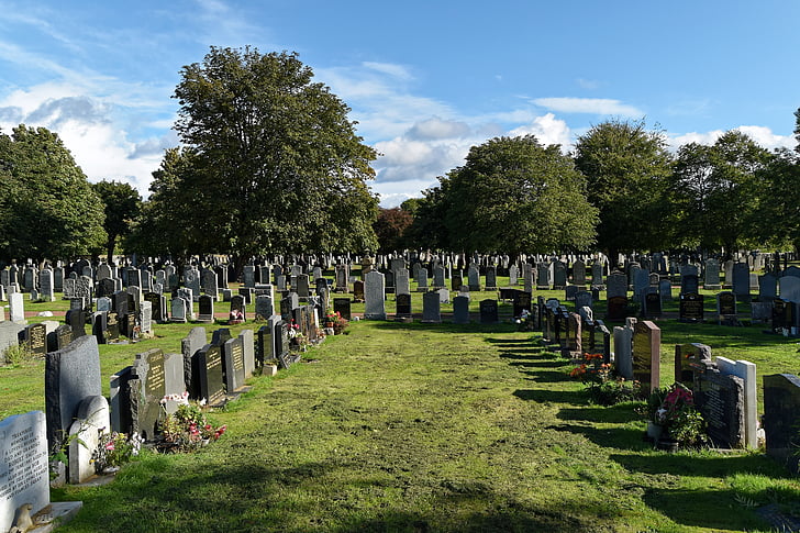 cemetery, trees, headstones, graves, graveyard, memorials, stone