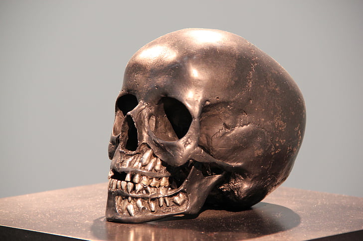cráneo, bronce, cabeza, estatua de, horror, metal, latón