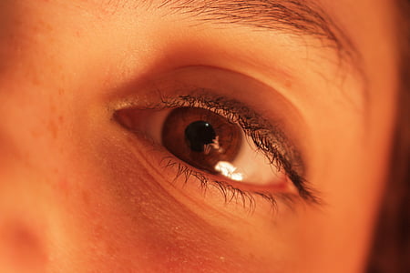 μάτι, βολβό του ματιού, μακροεντολή, ανθρώπινη, πρόσωπο, όραση, δέρμα