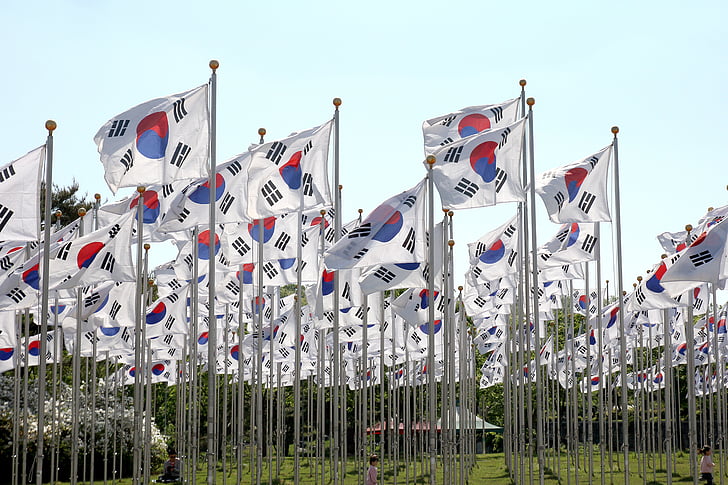 kórejský vlajky, vlajky, pole, kórejčina, vlasteneckej, národné, krajiny