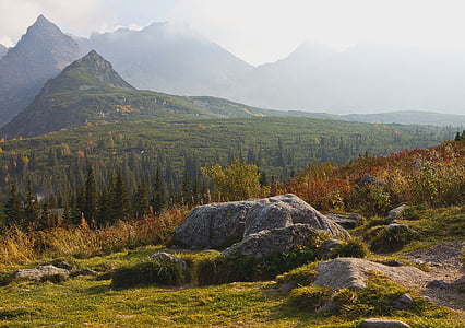 Polonia, Tatry, Tatra înaltă, Hala gąsienicowa, Valea gąsieniców, roci, pietrele