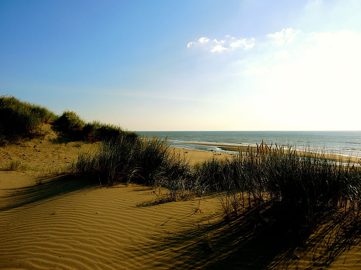 Playa, dunas, arena, hierba, puesta de sol, Océano, mar