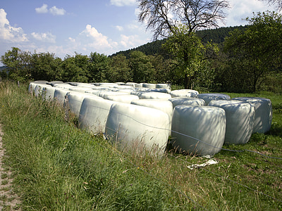 agriculture, cattle feed, silo, food, wrapped up, round bales, bale
