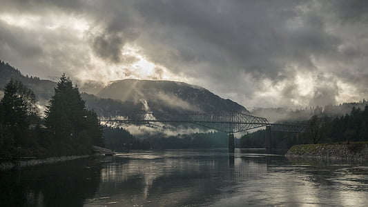 puente, nublado, niebla, montaña, cubierto, Río, árboles