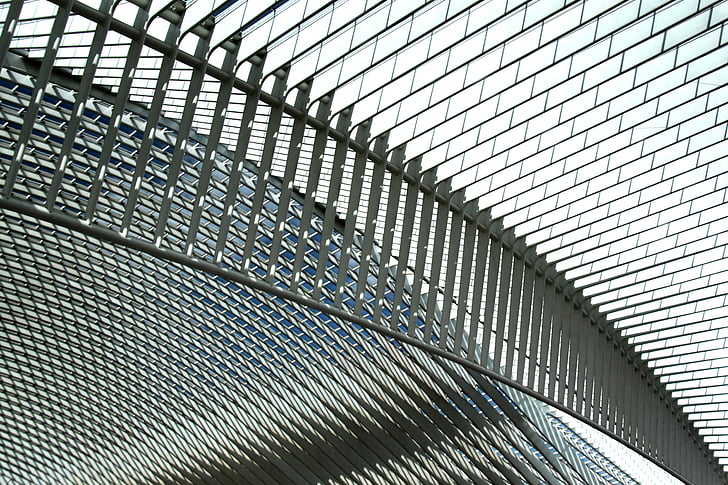 Santiago calatrava, Calatrava, arquitectura, Lieja, corcho-guillemins, estación de tren, estación de tren
