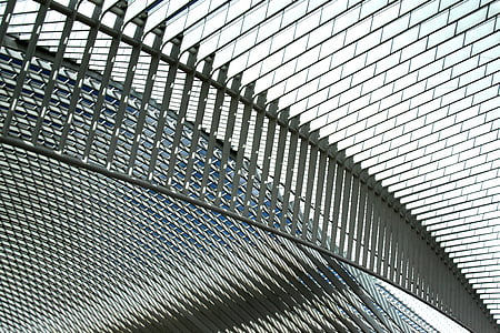 santiago calatrava, Calatrava, architecture, Liège, Liège-guillemins, Gare ferroviaire, la gare
