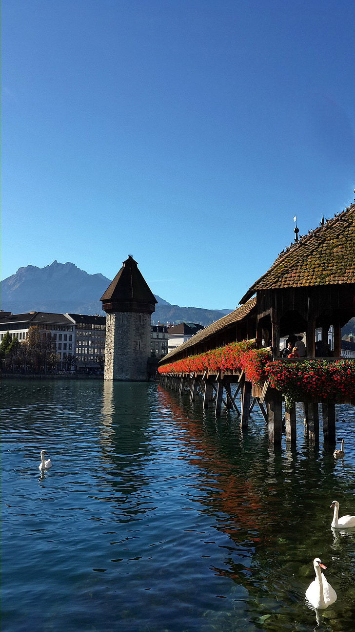 Jezioro, Lucern, Most, Swiss