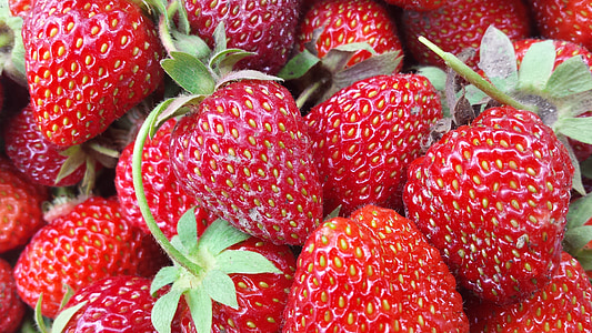 strawberry, berry, red berries, harvest, garden, sun, nature