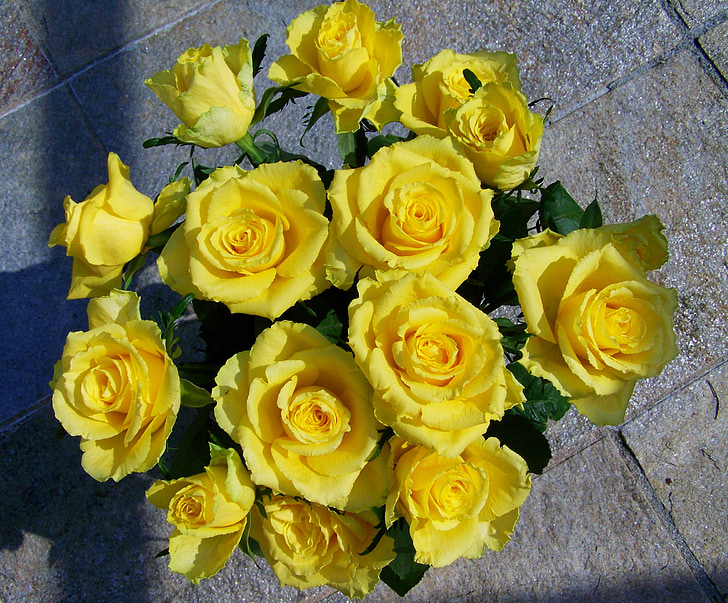 Rožių puokštė, Geltonos rožės, skintos gėlės