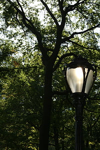gadelygte, lampe, træ, træer, natur, central park, NYC