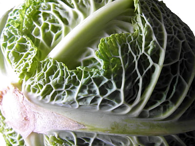 λάχανο Σαβοΐας, Κολ, βότανο, τροφίμων, Savoy, βιταμίνες, υγιεινή