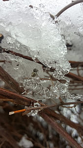 Kış, buz formu, Beyaz, Frost, soğuk, doğa