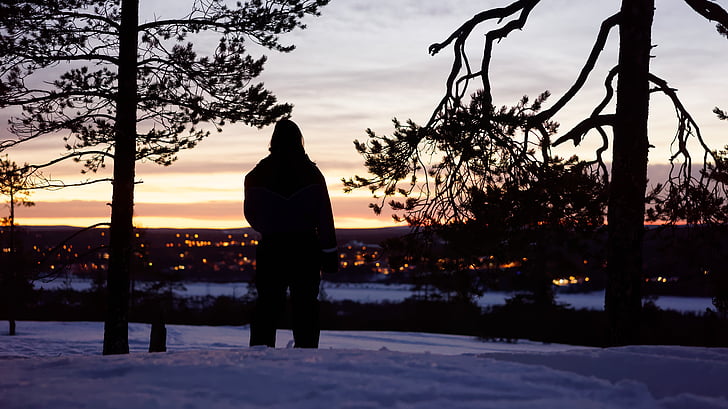 silhouette, man, standing, trees, people, alone, travel