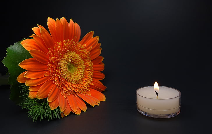 romantische, Kerze, Blume, Trauer, Trauerkarte, Still-Leben, Laternen