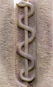 rilievo, simbolo, asta, serpente, Äskulapstab, personale di Asclepio, medico