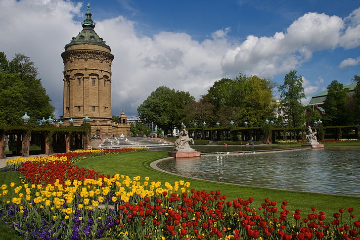 Mannheim, vanntårn, blomster