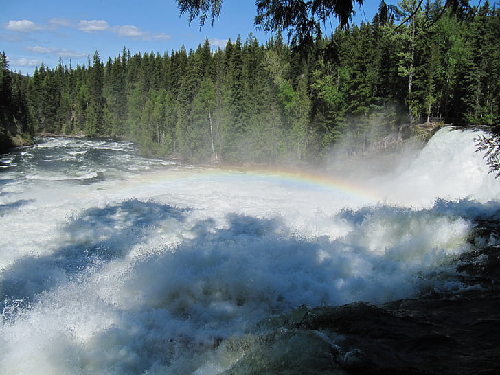 cascada, arco iris, naturaleza, árboles de pino, Canadá, verde, azul