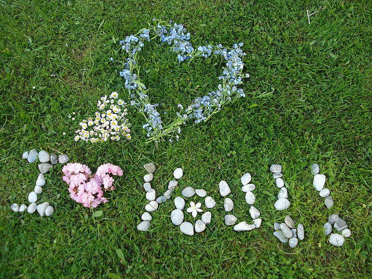 Aku cinta kamu, jantung rumput, bunga, Hari Valentine, padang rumput, Manis