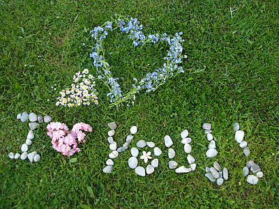 i love you, heart grass, flowers, valentine's day, meadow, sweet