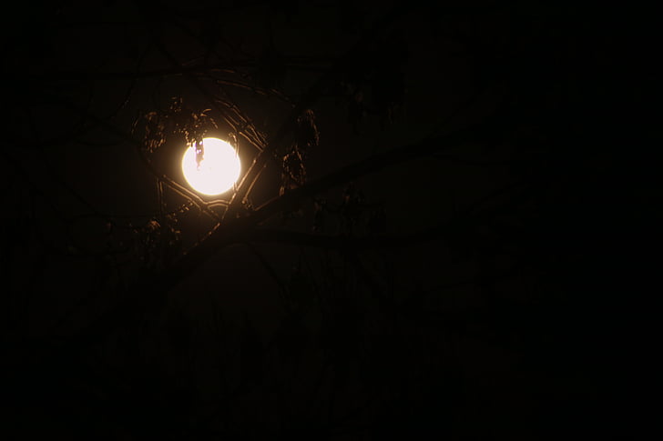 luna, noapte, iarna, întuneric, cer, natura, peisaj