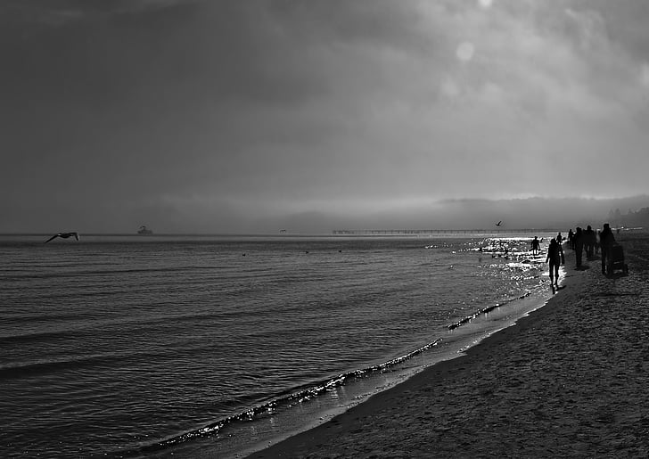 mar, Lago, Playa, Costa, naturaleza, vacaciones, blanco y negro