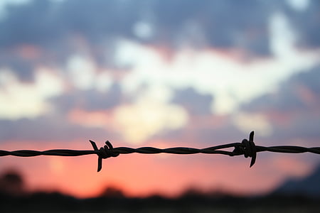 sunset, barbed wire, fence, clouds