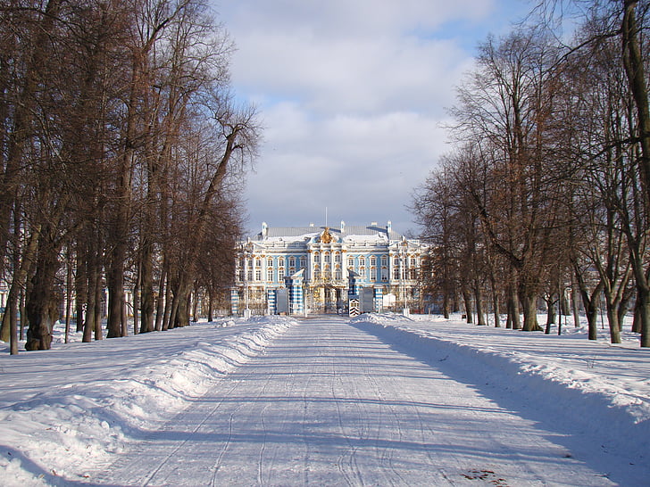 o Palácio ensemble Czarskoe selo, Rússia, beco, árvores, Palácio, neve de estrada, Inverno
