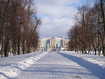 palee ansambel Tsarskoje selo, Venemaa, Alley, puud, Palace, Road lumi, talvel