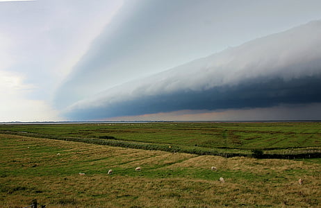 tempesta, parte anteriore della tempesta, anteriore di nube, avanti, nuvole scure, cielo, Nuvola temporalesca