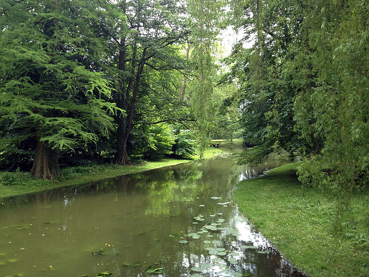 Schwerin, Park, fák, természet, fa, erdő, folyó