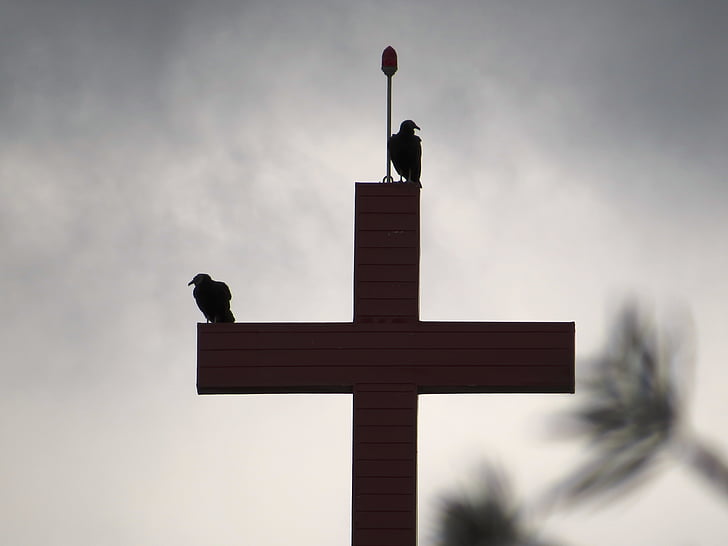 Cruz, ptáci, špatné počasí, černá a bílá, kříž, křesťanství, náboženství