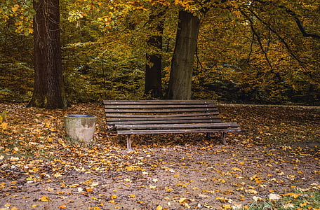 lavičke v parku, zvyšok, Park, Forest, idylické, Príroda