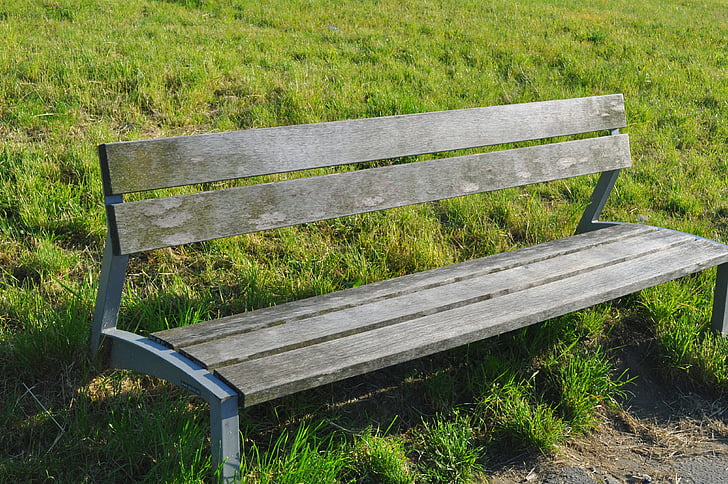 klopi, prazna, trava, sedež, lesene, narave, Les - material