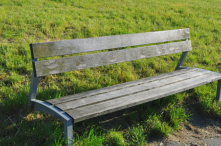 bench, empty, grass, seat, wooden, nature, wood - Material