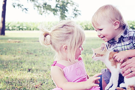 Κορίτσι, Αγόρι, γατάκι, κατοικίδιο ζώο, ζώο, το παιδί, Χαριτωμένο