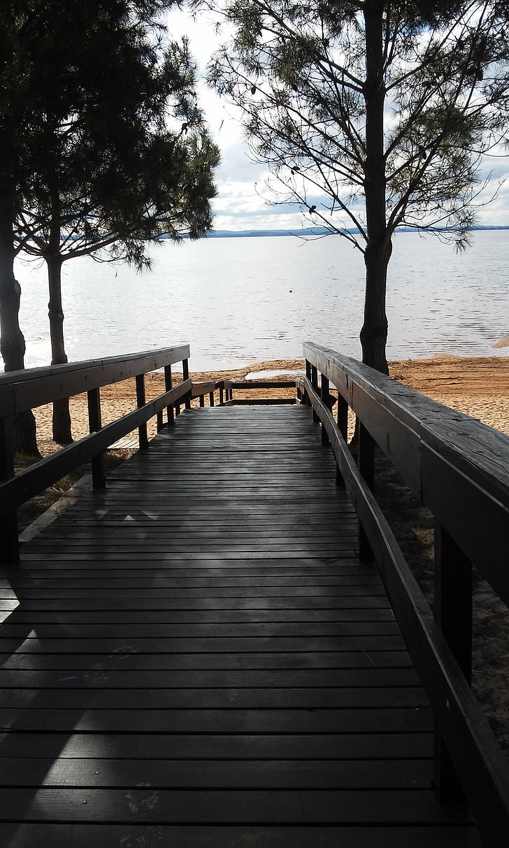 path, trees, tranquility, nature, lake, wood - Material, pier