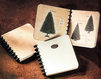 nostalgia, notebook, pine tree