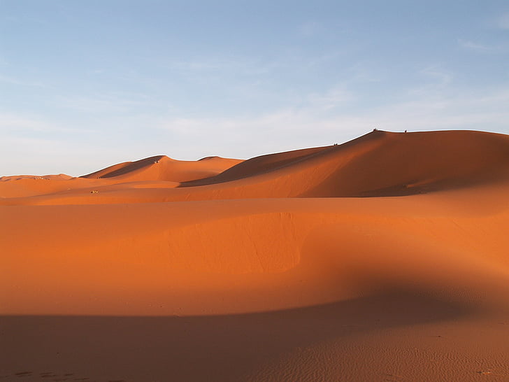 desierto, campo de dunas, dunas, caliente, paisaje, naturaleza, arena