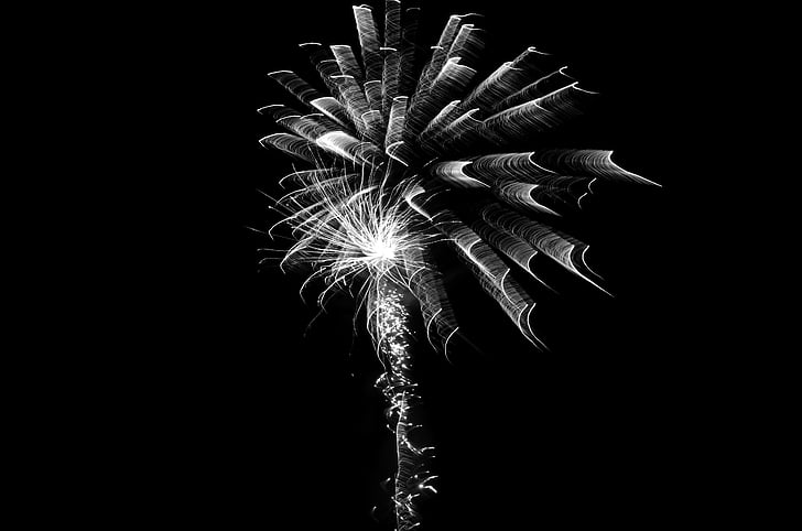 fireworks, black and white, celebration, event, explosion, sparkle, salute
