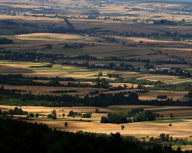 laukos, skats no kails kalns, Swietokrzyskie kalni, lauksaimniecība, daba, lauku ainas, saimniecības