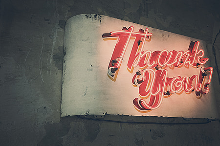 thank you, neon lights, neon, advertising, lighting, red, font