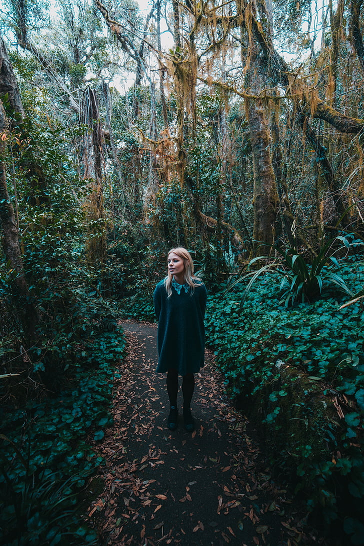 forest path, girl, forest, nature, path, female, outdoor