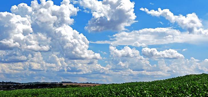Sky, Cloud, sojabønner, plantage, Road, skyer, blå himmel