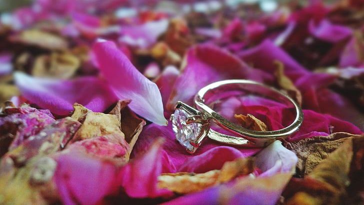 Prsten, Svatba, světlo, měkké, růže, zlato, krystal