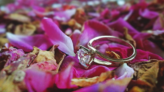 cincin, pernikahan, cahaya, lembut, mawar, emas, kristal