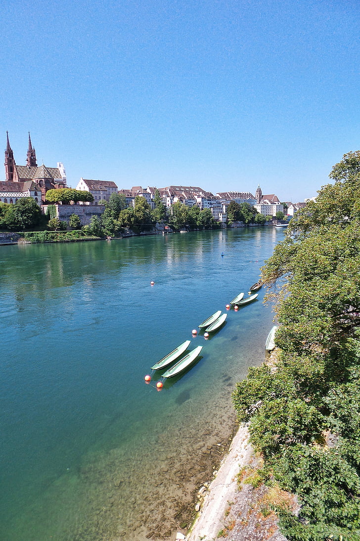 ciutat, riu, Basilea, Suïssa, embarcacions, l'aigua, població al riu