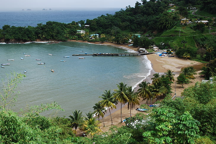 Tobago, Plaża, morze, palmy, drzewo, niebieski, zielony