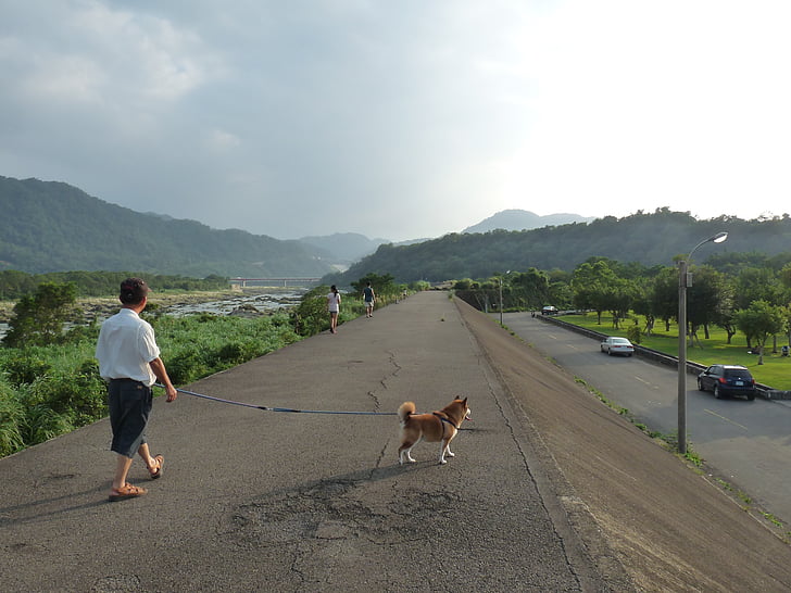 Taiwan, Li, Bambus-wai, zu Fuß, Landschaft, Blick, Hund